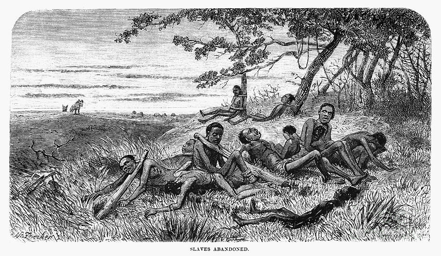 The Domestic Slave Trade Slavery America
